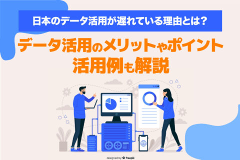 日本のデータ活用が遅れている理由とは？ - ブログ画像